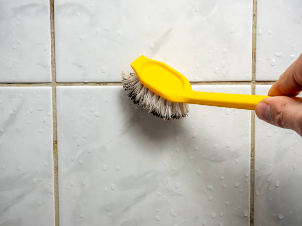 Marion, AR Mold Removal Company