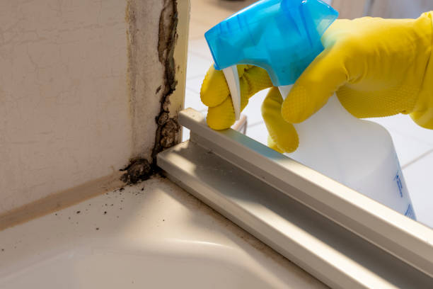 Crawl Space Mold Removal in Marion, AR