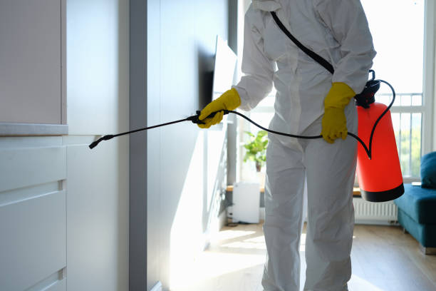 Best Best Mold Removal Companies  in Mion, AR